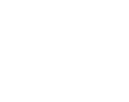 SoulFire