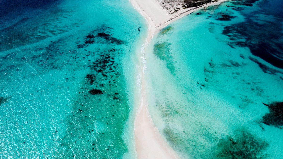 All-Inclusive Experience