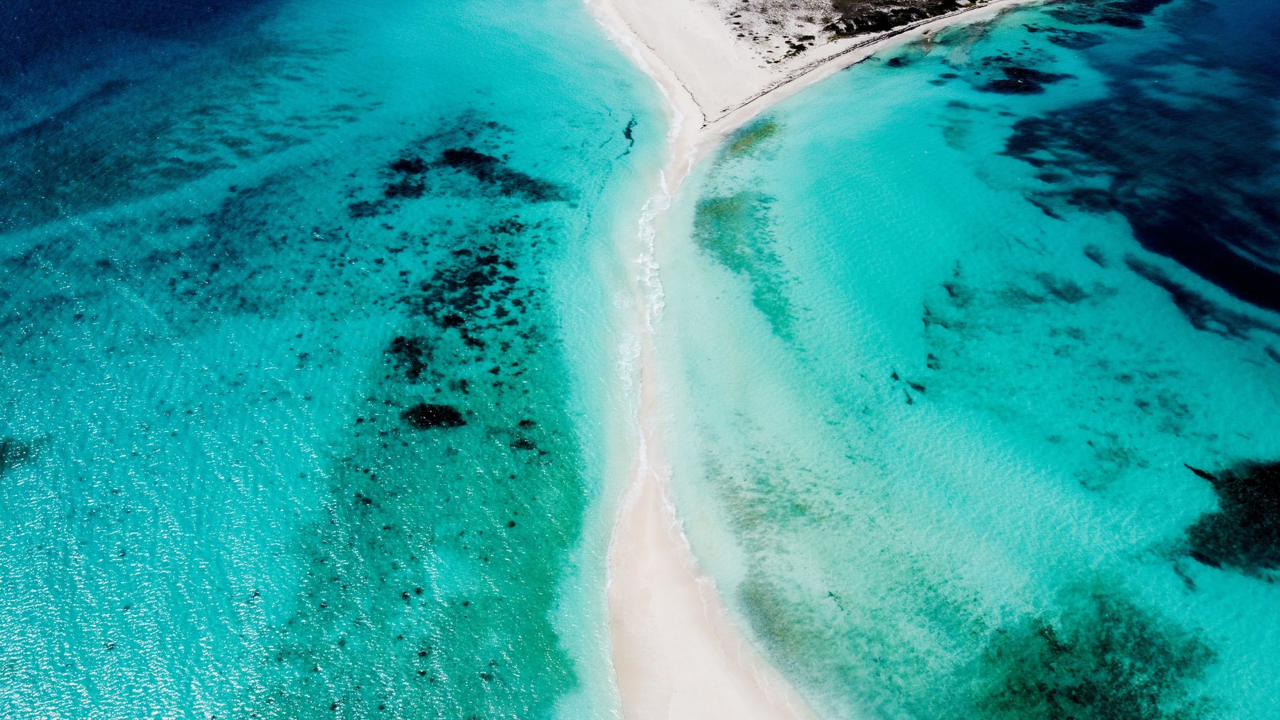 Recovery & Island Exploration